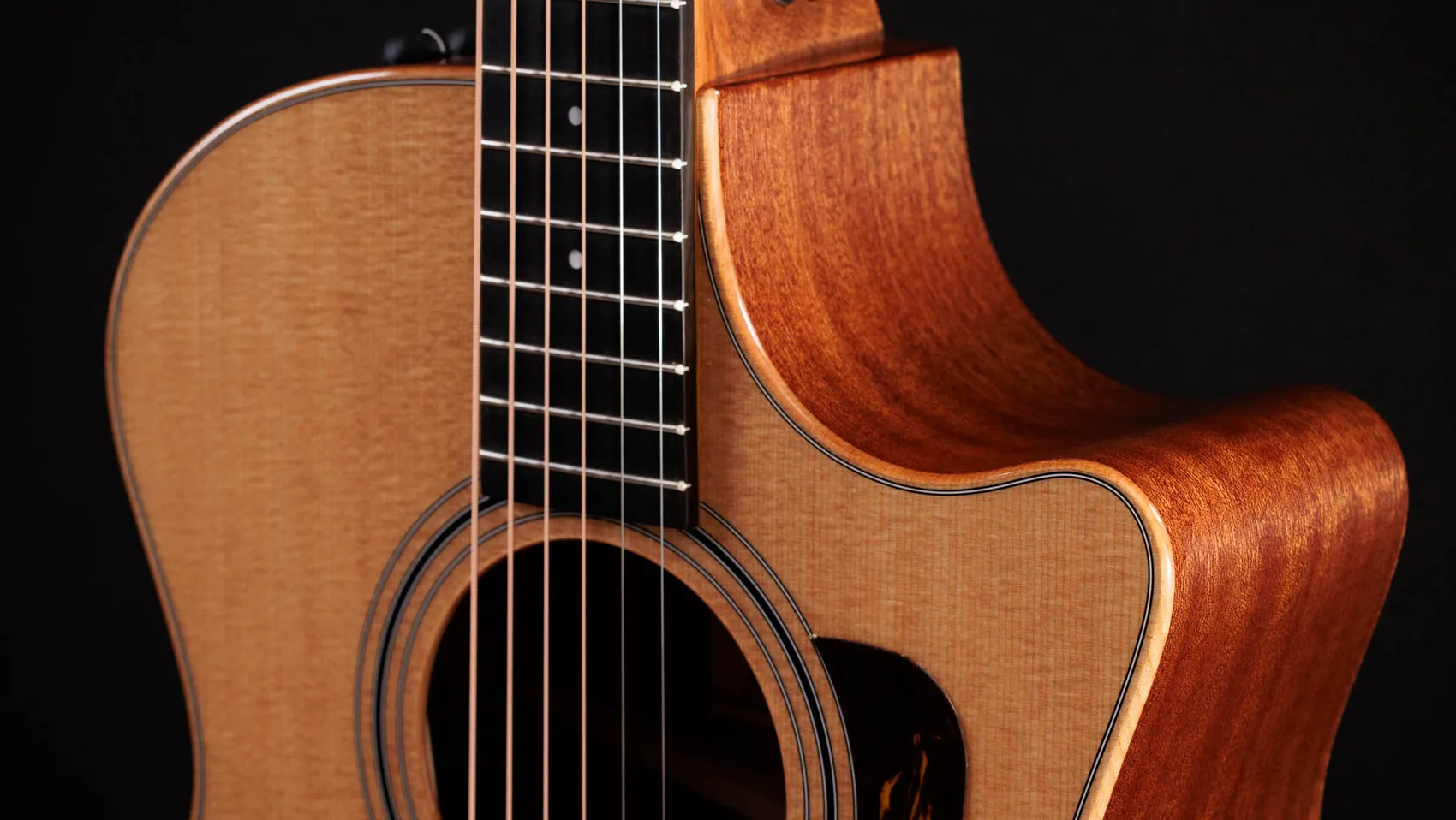 314ce Studio Sapele Acoustic-Electric Guitar (2024) | Taylor Guitars
